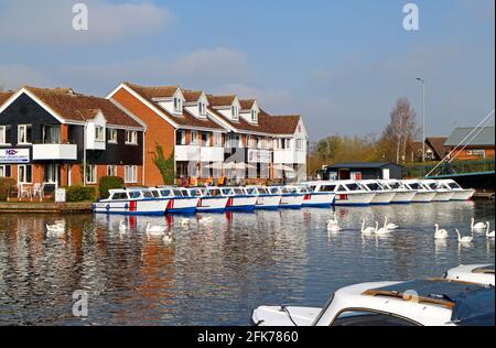 Una vista del fiume Bure con una fila di ormeggiate barche noleggio giorno vicino Wroxham Bridge sui Norfolk Broads da Hoveton, Norfolk, Inghilterra, Regno Unito. Foto Stock