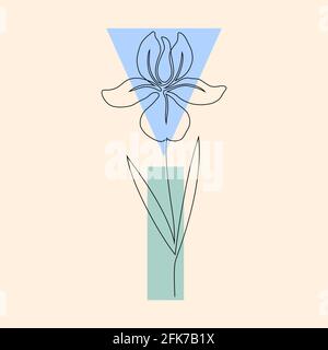 Fiori e forme geometriche. Illustrazione Vettoriale