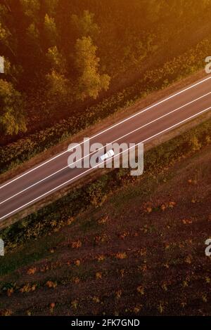 Auto bianca singola su strada attraverso la foresta di cottonwood in estate tramonto, vista aerea dal drone pov Foto Stock