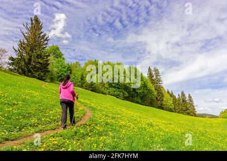 Donna trekking su un sentiero in prato verde sotto il cielo blu. Allgau, Baviera, Germania Foto Stock