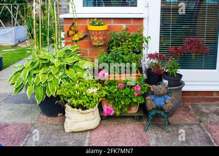 Un tipico giardino contenitore di piante erbacee in un tipico giardino inglese a metà giugno. Foto Stock