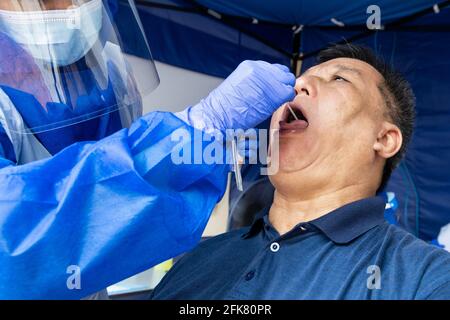 Uomo asiatico maturo che fa covid 19 test con tampone PCR la gola Foto Stock