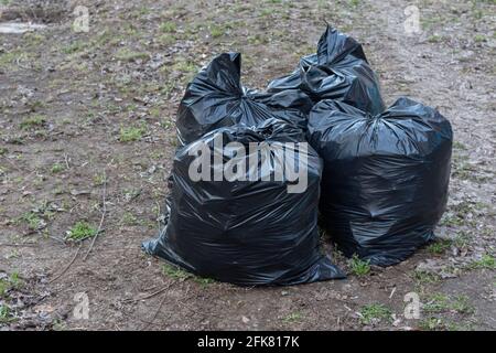 I sacchi di plastica neri grandi con i rifiuti di spazzatura in foresta  Foto stock - Alamy