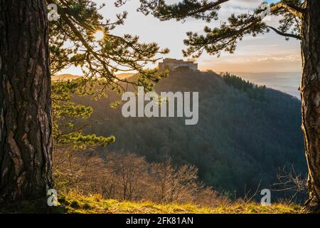 Germania, caldo cielo arancione tramonto con vista magica sopra gli alberi, la foresta e le antiche rovine del castello di hohenneuffen sul giura svevo vicino stoccarda Foto Stock