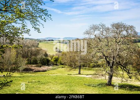 Vista primaverile sulla campagna ondulata del Worcestershire Cotswolds. Foto Stock