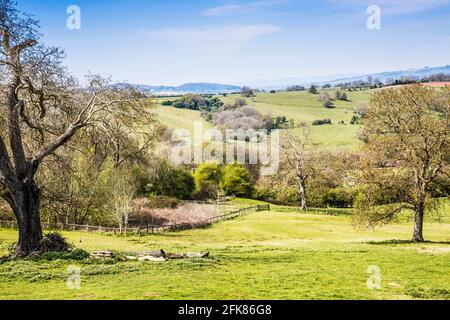 Vista primaverile sulla campagna ondulata del Worcestershire Cotswolds. Foto Stock