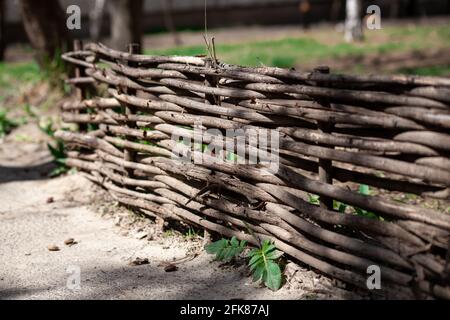 Una recinzione in legno intessuta fatta di rami antichi sottili in campagna. Recinzione del cortile del villaggio. Profondità di campo poco profonda. Foto Stock