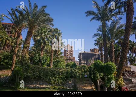 Vista sulle rive del Nilo al Cairo Foto Stock