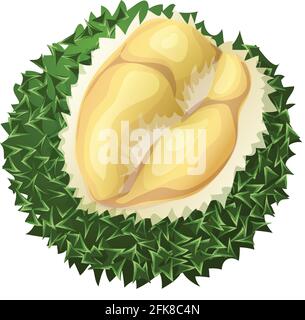 Icona duriana cremosa, stile cartone animato Illustrazione Vettoriale