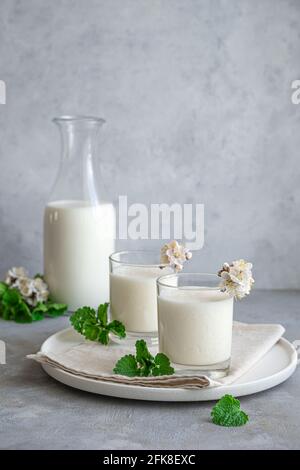 Bevanda a base di latte fatta di yogurt, latte e acqua su sfondo grigio. Foto Stock