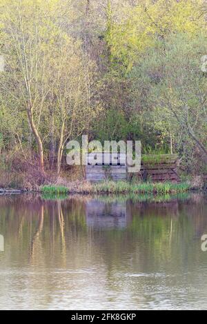 Un nascondiglio al Duddingston Loch per osservare la fauna selvatica, Edimburgo, Scozia, Regno Unito Foto Stock