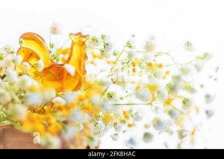 cockerel miele di lollipop su un bastone tra i fiori di primavera su uno sfondo bianco Foto Stock
