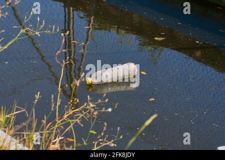 Una bottiglia di plastica usata e scartata galleggia nelle acque di un fossato rurale Foto Stock