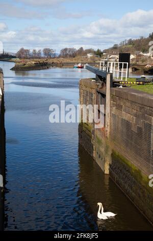 Bloccare il Forth e Clyde Canal a Bowling, Scozia Foto Stock