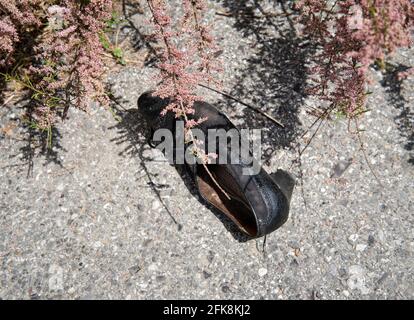 Scarpa nera femminile abbandonata sul marciapiede in Italia Foto Stock