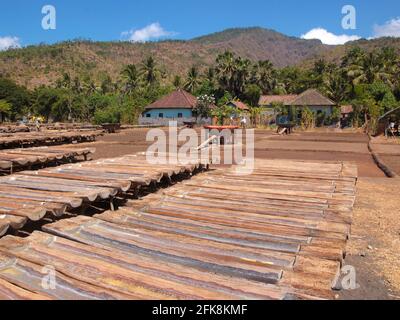 File di tronchi di legno, ritagliato per acqua di mare tenendo ed evaporazione, un passo nella preparazione locale di sale. Vicino Kubu a Bali, Indonesia. Foto Stock