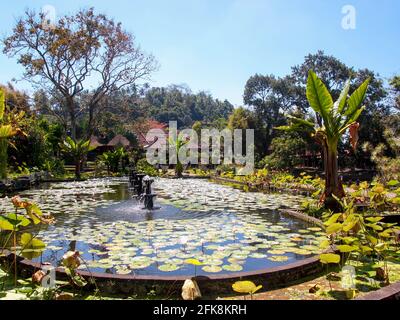 Fontane in un serbatoio ovale pieno di belle lilypads. Presso il Palazzo dell'acqua Tirta Gangga a Bali, Indonesia. Foto Stock