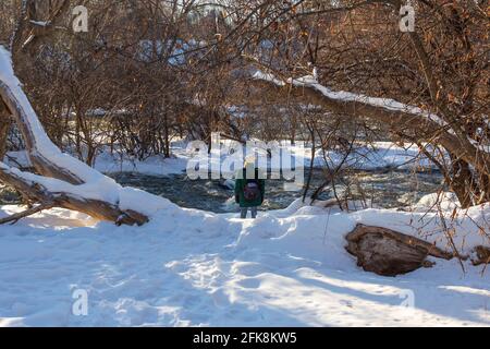 Donna in piedi nella neve di fronte all'acqua (torna alla fotocamera) che scorre dalle cascate in uno stretto torrente nella boschi Foto Stock