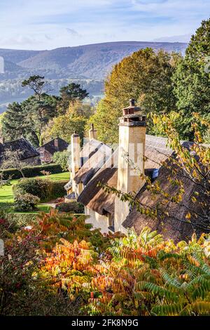 Luce mattutina sui tradizionali cottage con tetto in paglia nel villaggio Exmoor di Selworthy, Somerset UK Foto Stock