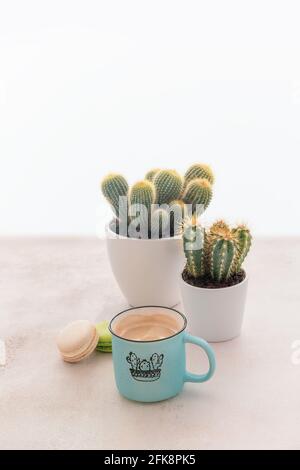 Composizione mattutina con un fiore di cactus, una tazza di caffè e amaretti. Prima colazione con piante e una tazza di cappuccino. Concetto di genitore di pianta, hom Foto Stock
