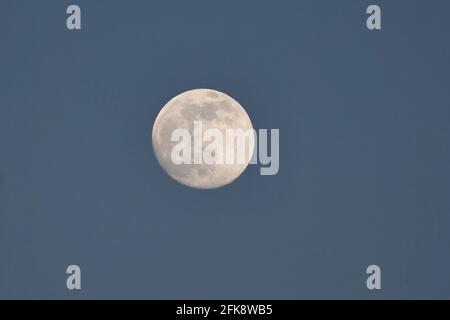 Full Moon Forest of Dean UK Foto Stock