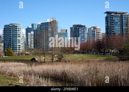 Vista degli alti edifici residenziali di Coal Harbour dal Devonian Harbour Park all'entrata di Stanley Park, Vancouver, British Columbia, Canada Foto Stock