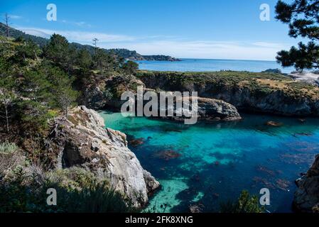 China Beach in California con le guarnizioni di tenuta del porto sulla spiaggia. Point Lobos State Reserve, California Foto Stock