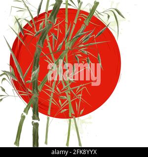 Alberi di bambù verde chiaro sullo sfondo del sole rosso. Illustrazione  vettoriale stilizzata come acquerello, creata con pennelli e macchie di  vernice. Isolare Immagine e Vettoriale - Alamy