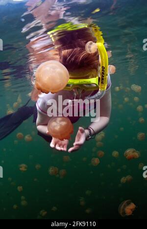 Boccaglio e meduse non velenose presso il lago Jellyfish, l'isola di Eil Malk, Palau, Micronesia Foto Stock