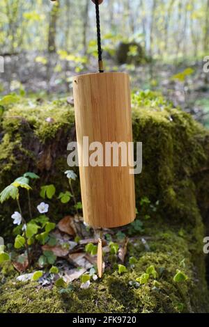 Koshi vento cimes fuori nella foresta per la terapia di guarigione del suono, yoga e meditazione, relax Foto Stock