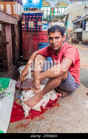 KOLKATA, INDIA - 31 OTTOBRE 2016: Macellaio al nuovo mercato di Kolkata, India Foto Stock