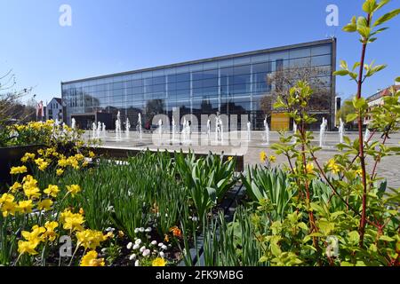 Erfurt, Germania. 28 Apr 2021. Fiori fioriscono sulla piazza del teatro di fronte al teatro di Erfurt. Credit: Martin Schutt/dpa-Zentralbild/ZB/dpa/Alamy Live News Foto Stock