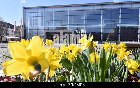 Erfurt, Germania. 28 Apr 2021. Fiori fioriscono sulla piazza del teatro di fronte al teatro di Erfurt. Credit: Martin Schutt/dpa-Zentralbild/ZB/dpa/Alamy Live News Foto Stock