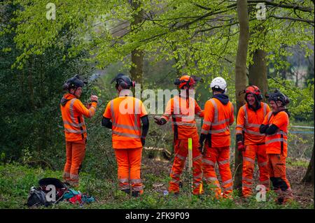 Gli appaltatori HS2 che lavorano per HS2 continuano a insultare gli attivisti anti HS2 salutando quando caddero alberi. Stanno inoltre mettendo gli arti dell'albero diritto attraverso i trucioli di legno che danno a tutti gli abitanti negli alberi il tempo di lasciare prima di essere uccisi nel trinciatore. L'antico bosco di Jones Hill Wood è stato distrutto da HS2 per il collegamento ferroviario ad alta velocità 2 da Londra a Birmingham, che sta intagliando una cicatrice attraverso le Chilterns, un'area di straordinaria bellezza naturale. Credit: Maureen McLean/Alamy Live News Foto Stock