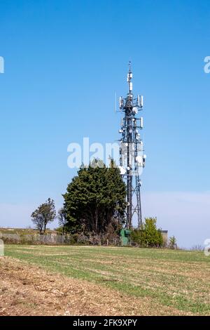 Albero di comunicazione situato nel South Downs National Park a nord di Worthing, West Sussex, Regno Unito. Foto Stock