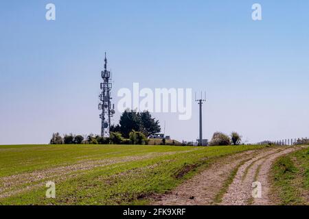 Albero di comunicazione situato nel South Downs National Park a nord di Worthing, West Sussex, Regno Unito. Foto Stock