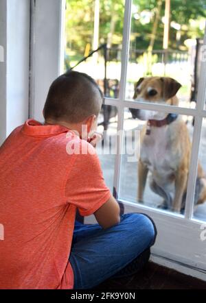 Il ragazzo si siede tristemente guardando fuori la porta verso il suo cane. È malato e bloccato dentro. Il cane si siede tristemente davanti alla finestra e manca il suo compagno di gioco. Foto Stock