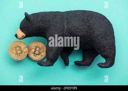 Moneta criptovaluta Bitcoin con un orso grizzly. Bitcoin bearish che commercia Foto Stock