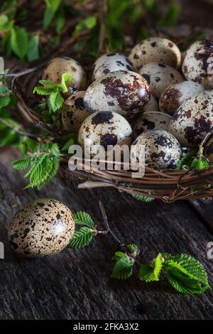 Primo piano di nido di decorazione con uova di quaglia fresche su legno tabella Foto Stock