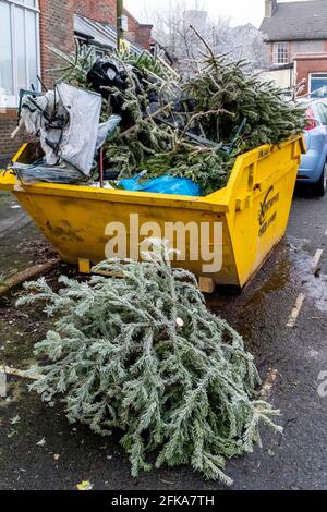 Un salto pieno di alberi di Natale scartati nella città di Lewes, Sussex orientale, Regno Unito. Foto Stock