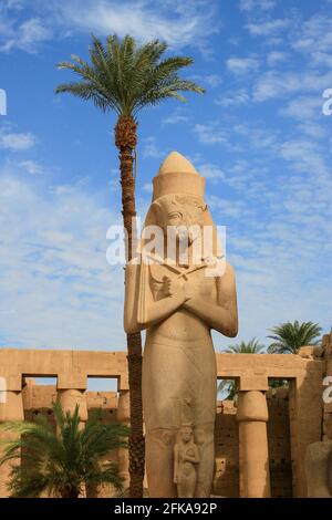 Statua colossale di Ramses II con cielo blu e palme ai Templi di Karnak, Luxor, Egitto Foto Stock