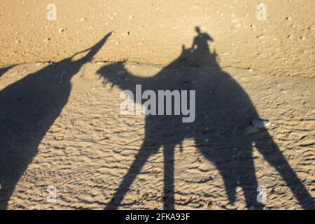 Silhouette di persone che cavalcano cammelli sulla sabbia nel deserto, Giza, Egitto Foto Stock