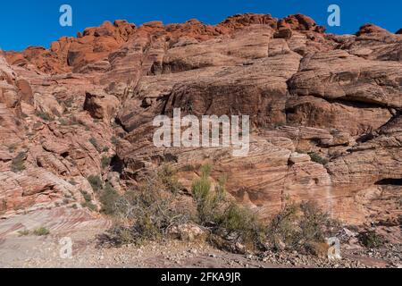 Calico Tanks Trail, Red Rock Canyon National Conservation Area, Nevada Foto Stock