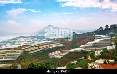 Bellezza altopiano al mattino con fiori serra, in lontananza è la nebbia che copre l'orizzonte creando una bellezza frizzante Foto Stock
