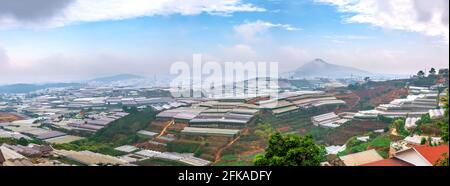 Bellezza altopiano al mattino con fiori serra, in lontananza è la nebbia che copre l'orizzonte creando una bellezza frizzante Foto Stock