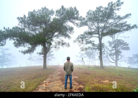 L'uomo viaggiatore si erge a guardare l'alba su una nebbiosa collina di pini del mattino sulla cima delle alture di da Lat, in Vietnam Foto Stock