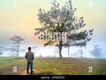 L'uomo viaggiatore si erge a guardare l'alba su una nebbiosa collina di pini del mattino sulla cima delle alture di da Lat, in Vietnam Foto Stock