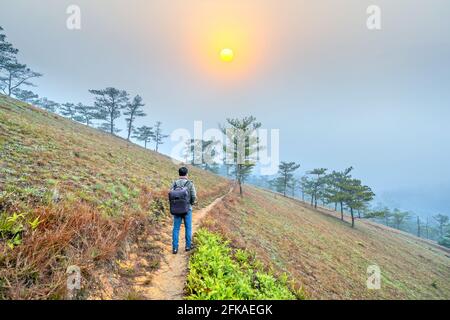 L'uomo viaggiatore si erge a guardare l'alba su una nebbiosa collina di pini del mattino sulla cima delle alture di da Lat, in Vietnam Foto Stock