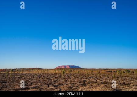 Uluru al mattino presto Foto Stock