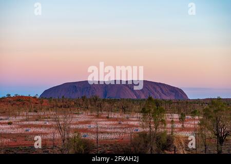 Campo di luce a Uluru Foto Stock